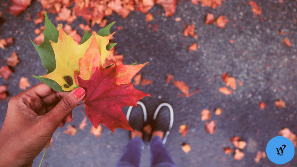 foglie autunnali