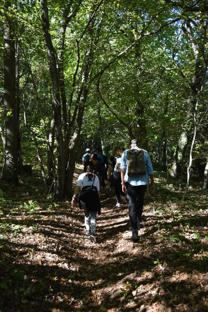 Sentiero nel bosco durante la meditazione nella natura